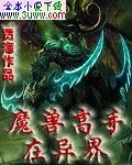 魔兽高手在异界封面