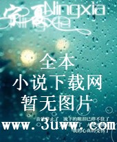 飞狐外传封面