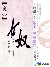 贡品女奴封面