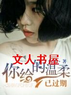 ����������ѹ��ڷ���