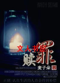HP之赎罪封面