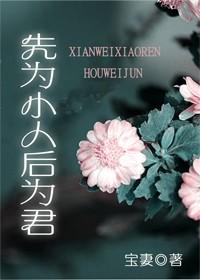 先为小人后为君封面