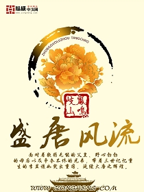 盛唐风流封面