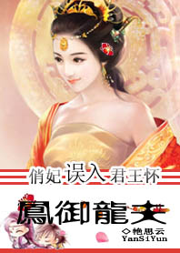 凤御龙夫:俏妃误撞君王怀封面
