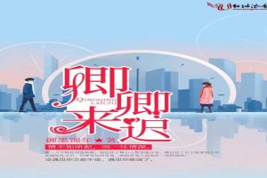 卿卿来迟封面