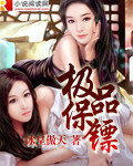 极品保镖封面