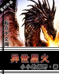 异世星火封面