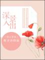 深入景出封面