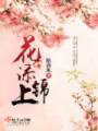 花添锦上封面