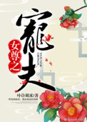 女尊之宠夫封面