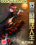 罗兰的魔法人生封面