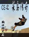 CS之菜鸟传奇封面