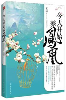 今天开始养凤凰封面
