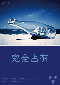 完全占有封面