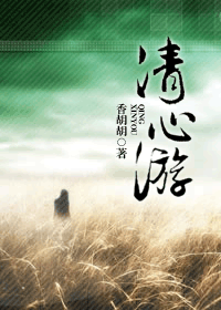 清心游封面