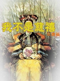 我不是慈禧封面
