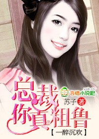 一醉沉欢:总裁,你真粗鲁封面