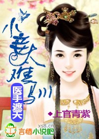 医手遮天:小妾太难驯封面