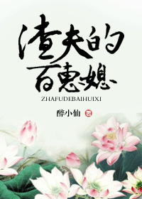 渣夫的百惠媳封面
