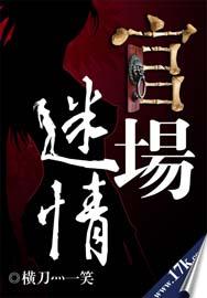 官场迷情封面