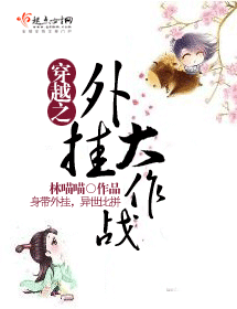 穿越之外挂大作战封面