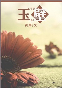 玉壁封面