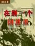 在别一个国度里封面