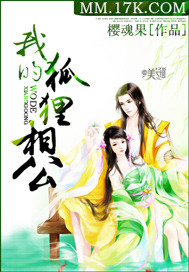 我的狐狸相公封面