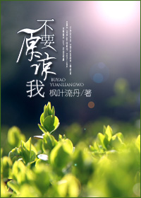 不要原谅我封面