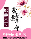 妃穿不可.废妃要革命封面