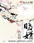 暖婿封面