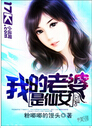 我的老婆是仙女封面