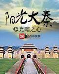 阳光大秦封面