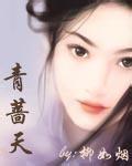 青蔷天封面