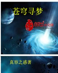 苍穹寻梦封面