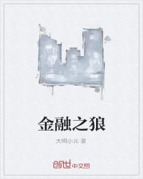 金融之狼封面