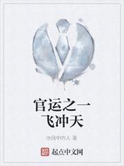 官运之一飞冲天封面