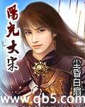 阳光大宋封面