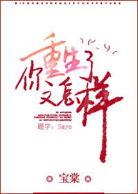 你重生了又怎样封面