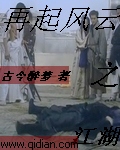江湖之再起风云封面