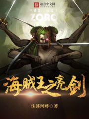 海贼王之亮剑封面